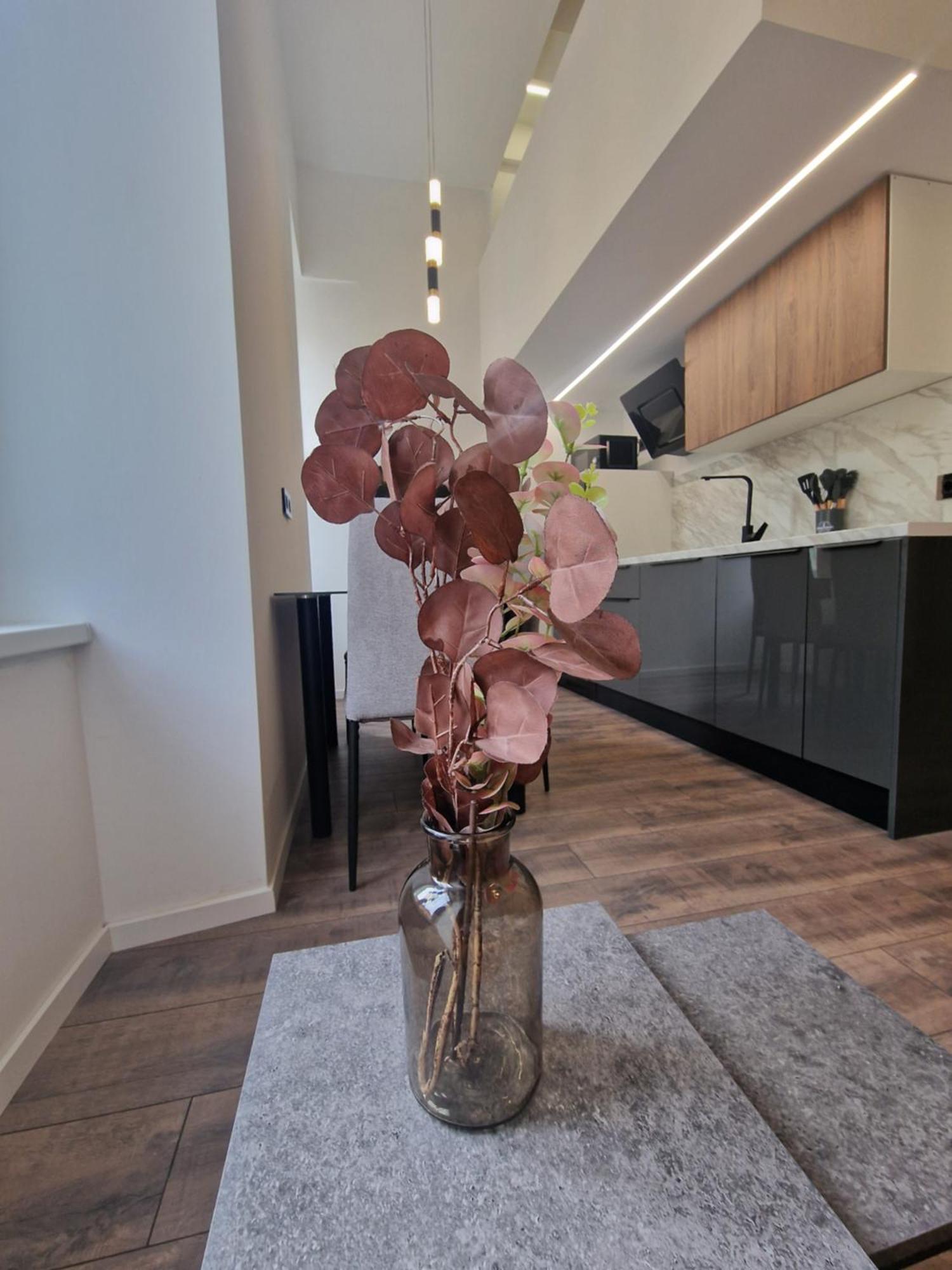 Veneziana Apartments 里耶卡 外观 照片